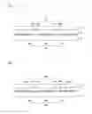Fig. 09 - VIEWING ANGLE CONTROL PANEL AND LIQUID CRYSTAL DISPLAY DEVICE