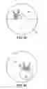 Fig. 08 - Multifocal ophthalmic eyeglass