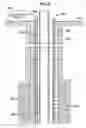Fig. 06 - Time domain multiplexing of interferometric sensors