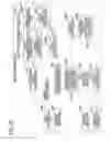 Fig. 29 - Image scanner printer