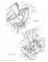 Fig. 07 -  Equatorial Support for Telescope