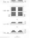 Fig. 04 - CRYSTALLINE ENCAPSULANTS