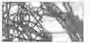 Fig. 01 - Mixed structures of single walled and multi walled carbon nanotubes