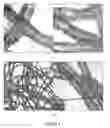 Fig. 03 - Mixed structures of single walled and multi walled carbon nanotubes