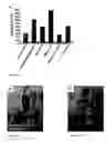 Fig. 07 - Absorbant superhydrophobic materials, and methods of preparation and use thereof