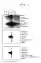 Fig. 02 - Method for detecting endometriosis in a patient sample
