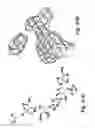 Fig. 02 - NOVEL ENZYME