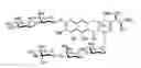 Fig. 01 - Glycosylate derivatives of mithramycin, method of preparation and uses thereof