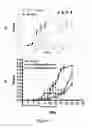 Fig. 02 - TrkB Agonists for Treating Autoimmune Disorders