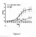 Fig. 04 - TrkB Agonists for Treating Autoimmune Disorders