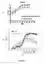 Fig. 06 - TrkB Agonists for Treating Autoimmune Disorders