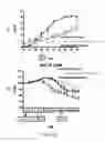 Fig. 07 - TrkB Agonists for Treating Autoimmune Disorders