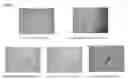 Fig. 02 - Methods, Surface Modified Plates and Compositions for Cell Attachment, Cultivation and Detachment