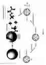 Fig. 02 - Materials and methods for isolating phosphopeptides
