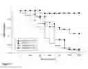 Fig. 04 - Method to enhance hemodynamic stability using oxygen carrying compositions