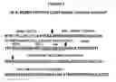 Fig. 02 - Products and methods using soy peptides to lower total and LDL cholesterol levels