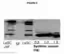Fig. 07 - Products and methods using soy peptides to lower total and LDL cholesterol levels