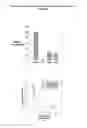 Fig. 06 - Use of lipid conjugates in the treatment of conjunctivitis