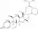 Fig. 06 - COMPOSITION COMPRISING AN ANTIBIOTIC AND A CORTICOSTEROID