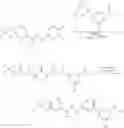 Fig. 697 - Modulators of ATP-binding cassette transporters
