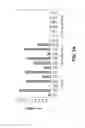 Fig. 09 - Compositions and Methods for Inhibiting Expression of Eg5 and VEGF Genes