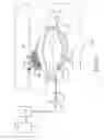 Fig. 32 - Sphincter treatment apparatus