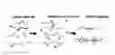 Fig. 01 - COMPOSITIONS AND METHODS FOR USE OF ALGINATE DURAL SEALANTS