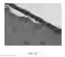 Fig. 06 - COMPOSITIONS AND METHODS FOR USE OF ALGINATE DURAL SEALANTS