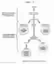 Fig. 02 - Methods of Treatment, and Diagnosis of Epilepsy by Detecting Mutations in the SCN1A Gene