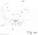 Fig. 07 - Handheld lawn tool