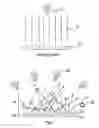 Fig. 02 - Device for catching phototaxis flying insects