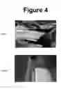 Fig. 08 - Screened gutter protection