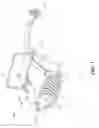 Fig. 08 - Aquatic weed harvester