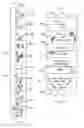 Fig. 07 - Absorbent Articles Having Distinct Graphics And Apparatus And Method For Printing Such Absorbent Articles