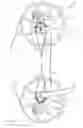 Fig. 05 - Archery bow with force vectoring anchor