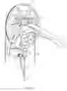 Fig. 15 - Archery bow with force vectoring anchor