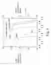 Fig. 05 - Coaxial Solar Cell Structure and Continuous Fabrication Method of its Linear Structure