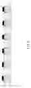 Fig. 07 - Coaxial Solar Cell Structure and Continuous Fabrication Method of its Linear Structure