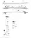 Fig. 09 - Erector scaffold deck fall arrest assembly