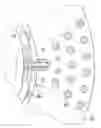 Fig. 01 - BRAKE DISK