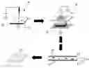 Fig. 01 - Method of measuring microparticles having nucleic acid and apparatus therefor