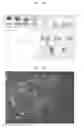 Fig. 08 - Method of measuring microparticles having nucleic acid and apparatus therefor