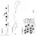 Fig. 02 - Method of derivatising an analyte for subsequent detection through a nucleic acid based sensor