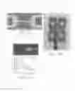 Fig. 09 - Microfluidic device for detection of charged analytes contained in an electrolyte and a method for detecting charged analytes contained in an electrolyte