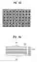 Fig. 37 - Light emitting device having light extraction structure and method for manufacturing the same