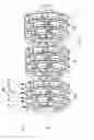 Fig. 06 - Polyphasic multi-coil electric device