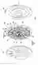 Fig. 10 - Polyphasic multi-coil electric device