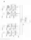 Fig. 08 - Element independent routerless beamforming