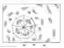Fig. 01 - Graphics processing unit accelerated dynamic radial tessellation