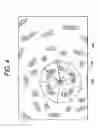 Fig. 05 - Graphics processing unit accelerated dynamic radial tessellation